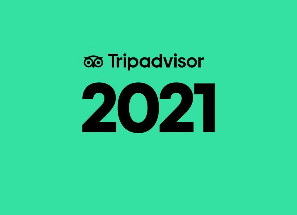 tripadvisor-2021-rapor